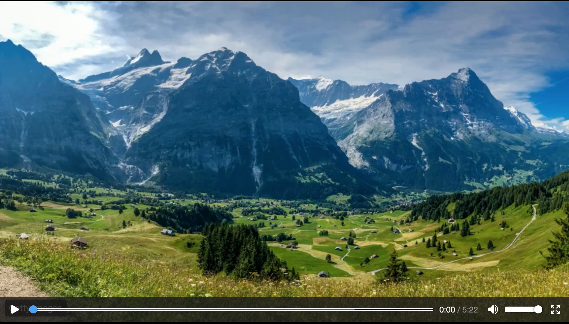 Swiss-Inspired DDGN — click to play video